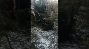 Выкопка елочек ПЕРЕСАДЧИКом деревьев диаметр кома 60-65 см