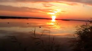 Охота в калмыкии