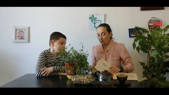 Экоурок № 12. Удивительное растение мята смотреть онлайн