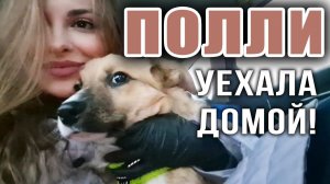 ПОЛЛИ уехала домой❤️ ❗ Волонтеры Ольга и Наталья отвезли и помыли её в новом доме❗ Вам всем привет