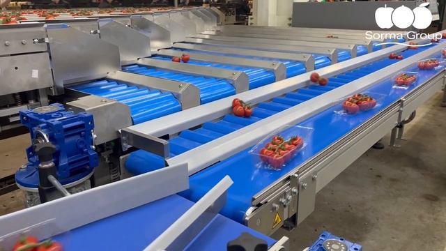 Весовая станция для томатов на ветке, винограда смотреть онлайн