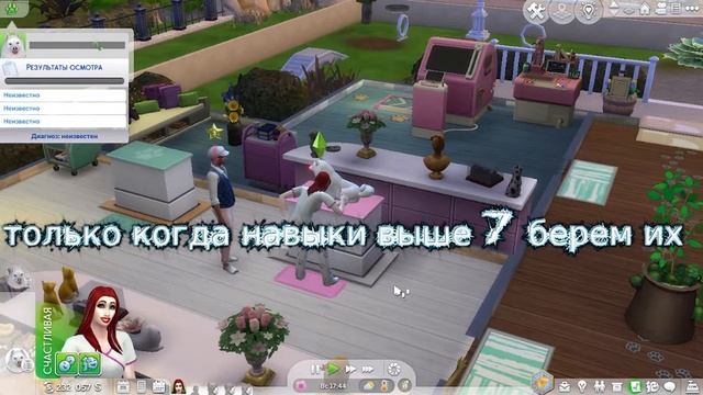 Sims 4 Ветеринарная клиника как управлять гайд смотреть онлайн