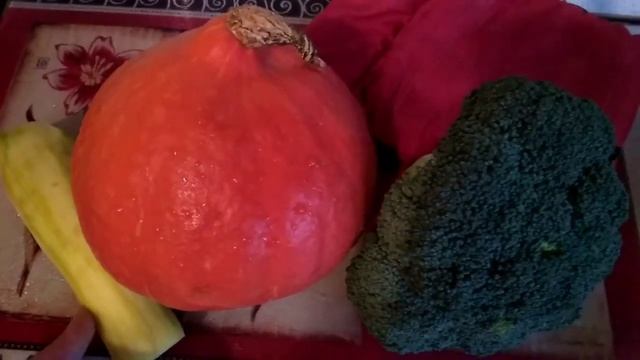 Меню для похудения 126. Правильное питание. Как похудеть. Наши щенки Йорка им 2 недели смотреть онлайн