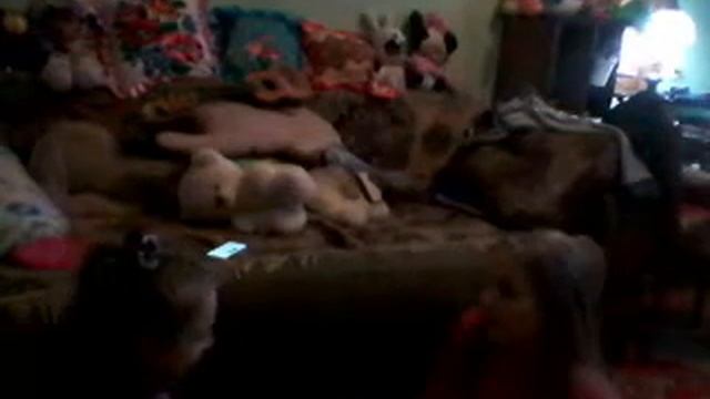 Парна йога. Самі вдома у подружки смотреть онлайн