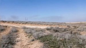 Коп в Астрахани 28 марта 2020г.