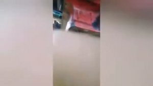 Замена сальника переднего ВОМ на КМЗ-012.