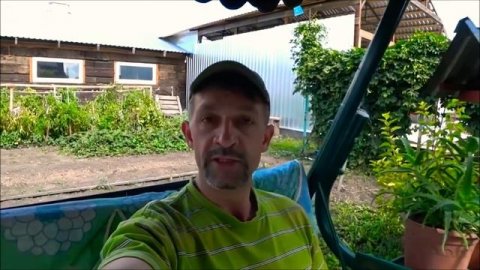 СВИНЬИ КАК БИЗНЕС УКРАЛИ КАНАЛ SOS!!!