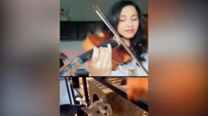 Коты поют под музыку.