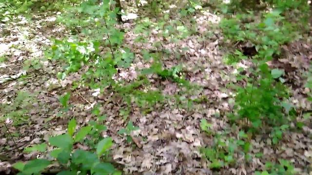 Вернулся на старое место, находки ещё есть смотреть онлайн