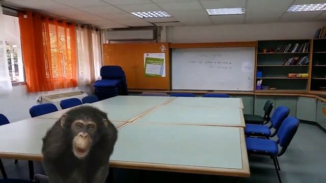 Note 3 творчество камера Мигдаль Хаэмек -מגדל העמק смотреть онлайн