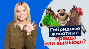 Как и зачем появляются гибридные животные?