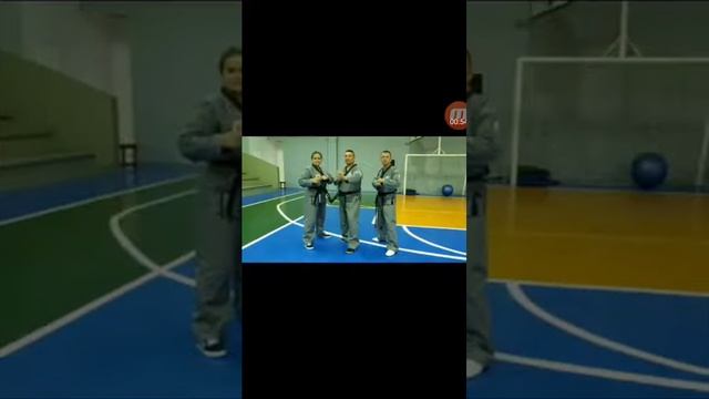 Sin moo hapkido