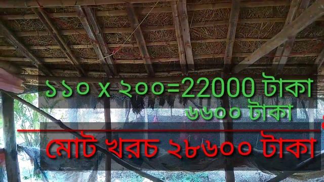 low cost poultry farm।।small poultry shed।। poultry farming besness plan।।kom kharcher poltri foram
