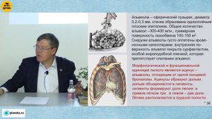 Вячеслав Дубынин: Дыхание" (Лекция 8)
