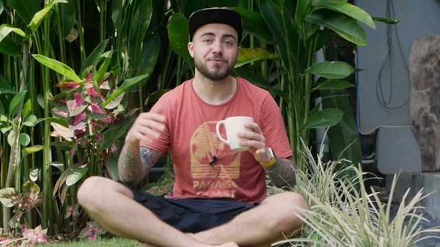 ОБЗОР ДОСТАВКИ СУШИ 3303. Что изменилось за год? смотреть онлайн