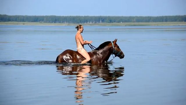 Купаемся с лошадьми. Тыгиш, лето 2018 смотреть онлайн