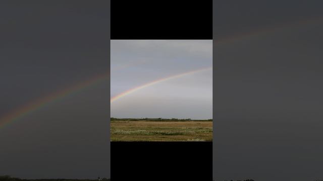 1000013901.mp4