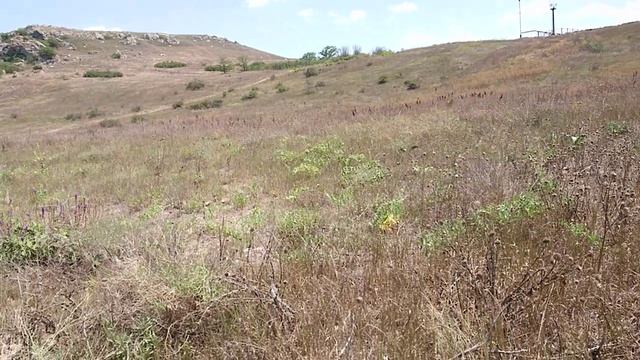 18.11.2020 Я ушла.mp4