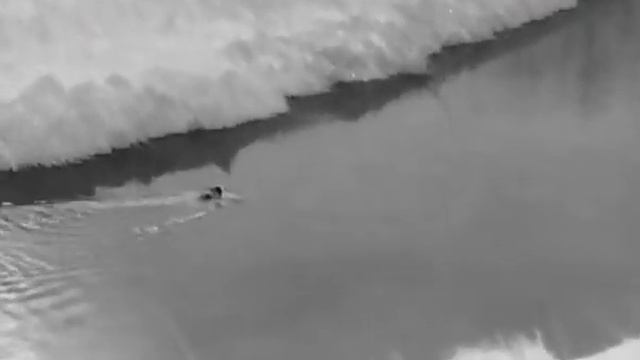 Hikmicro OWL 35 || Nutria im Wasser смотреть онлайн