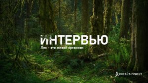 Лес - это живой организм