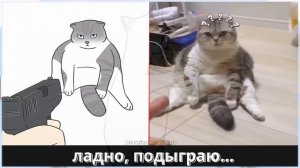 Смешные Животные  + Рисунок к каждому и Смешные фразы животных