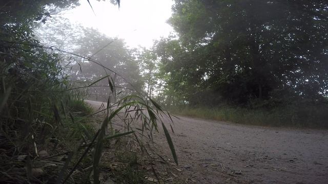 CF MOTO X8 Terralander смотреть онлайн