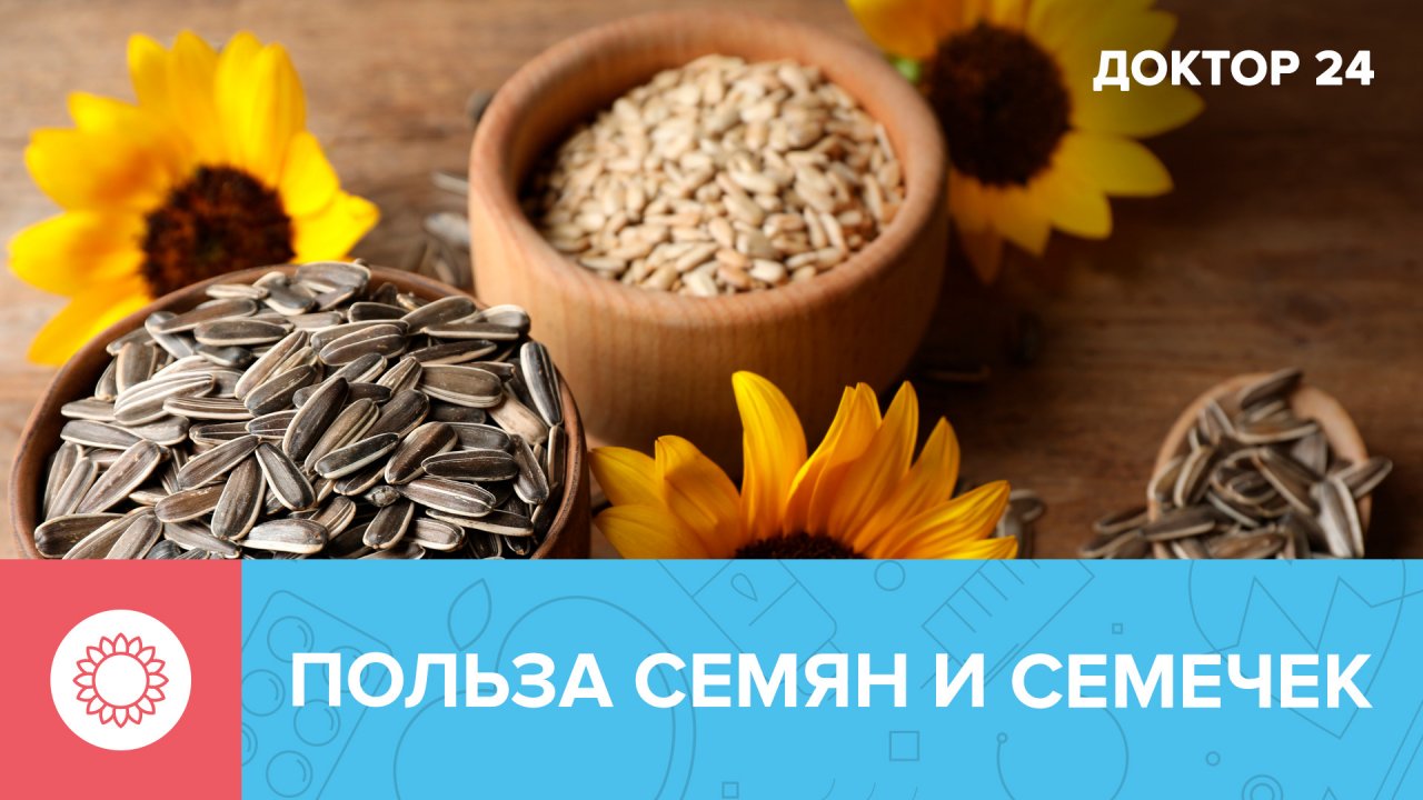 Чем полезны СЕМЕНА и СЕМЕЧКИ? | Доктор 24