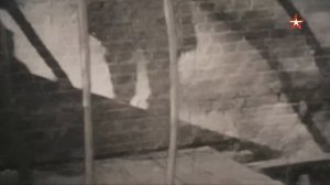 Собибор. Побег из лагеря смерти. Охота на палача