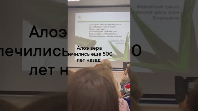 @алоэ вера барбаденсис миллер