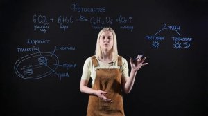 БИОЛОГИЯ 6 класс: Фотосинтез