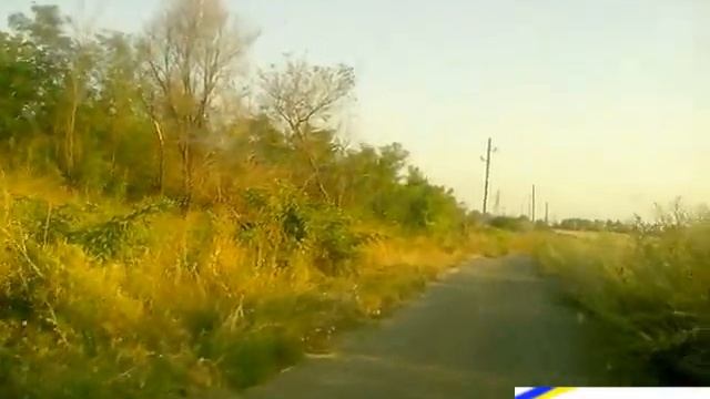 Полкан есть Рельсы нет. смотреть онлайн