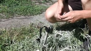 Автономная  Сигнализация Для Охраны Лагеря, Стоянки Туристов, Лодок, Велосипедов И Т.Д.