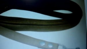 Подбираем амуницую взрослому Алабаю (САО), (Среднеазиатской овчарке), (Среднеазиатскому волкодаву)