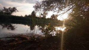 Река Узяк. В конце летнего дня. 2016.