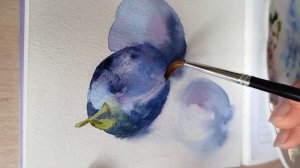 Сливы с натуры акварелью: 4 цвета 15 минут