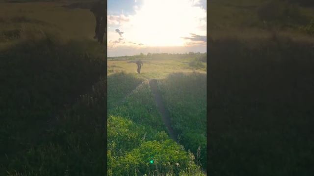 ЧУТЬ НЕ УЛЕТЕЛ В КЮВЕТ? смотреть онлайн