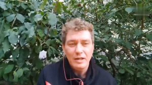 Захар Артемьев - интернет попрошайка