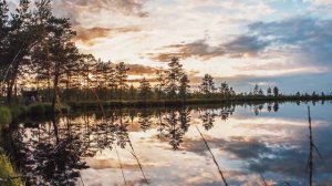 Yelnya chill. Lapukhi lake. Болото Ельня, оз. Лапухи.