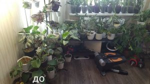 Моя цветочная переделка в фото. Цветы в интерьере.