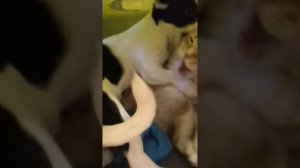 никуда не денешься, все равно ты будешь мой!