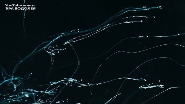 Тот, кто следует голосу сердца, оказывается под защитой духовного закона природы смотреть онлайн