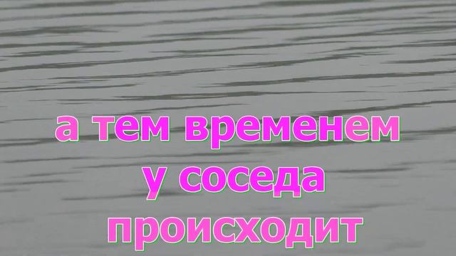 рыбалка на поплавок Свердловская область пригород Каменска село боевка трофей лещь у соседа)))