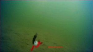 Съёмка подводной рыболовной камерой Erchang с Алиэкспресс.