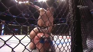 Хабиб Нурмагомедов бои Тони Фергюсон