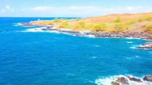 Alok, Dua Lipa, Coldplay, Martin Garrix & Kygo, The Chainsmokers Style