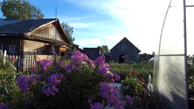 Выходные в деревне. Деревенский огород. Жизнь за городом. #1
