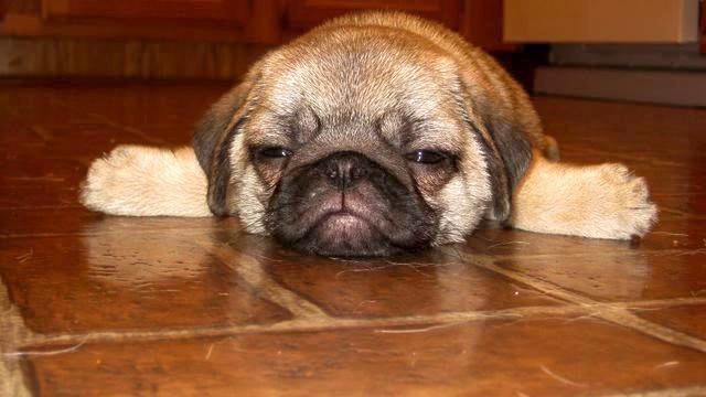 Клип Альбина Джанабаева. От нее внутри разливается... смотреть онлайн