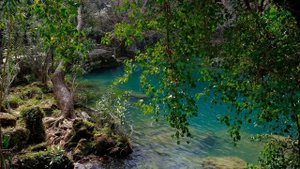 ЗАГОВОР ОТ БОЛЕЗНИ   ИГЛАМИ БОЛЕЗНЬ ПРОГНАТЬ