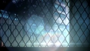 AMV #4 / Dance In The Vampire Bund /