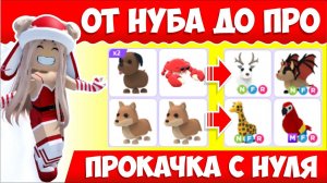 Как БЫСТРО ПРОКАЧАТЬ свой ИНВЕНТ в Адопт Ми?ОТ NOOB ДО PRO В ADOPT ME! +РОЗЫГРЫШ ФРОСТ ФУРИ